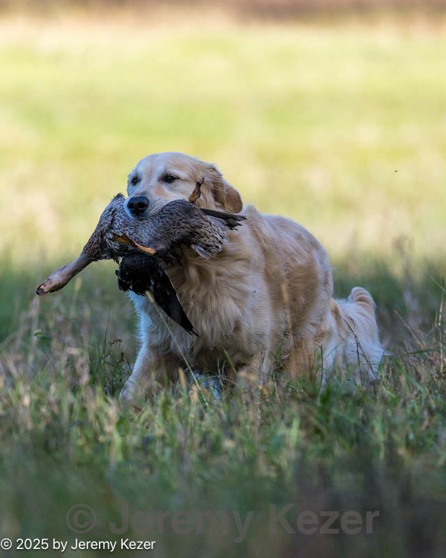 20251011-shl-0107.jpg