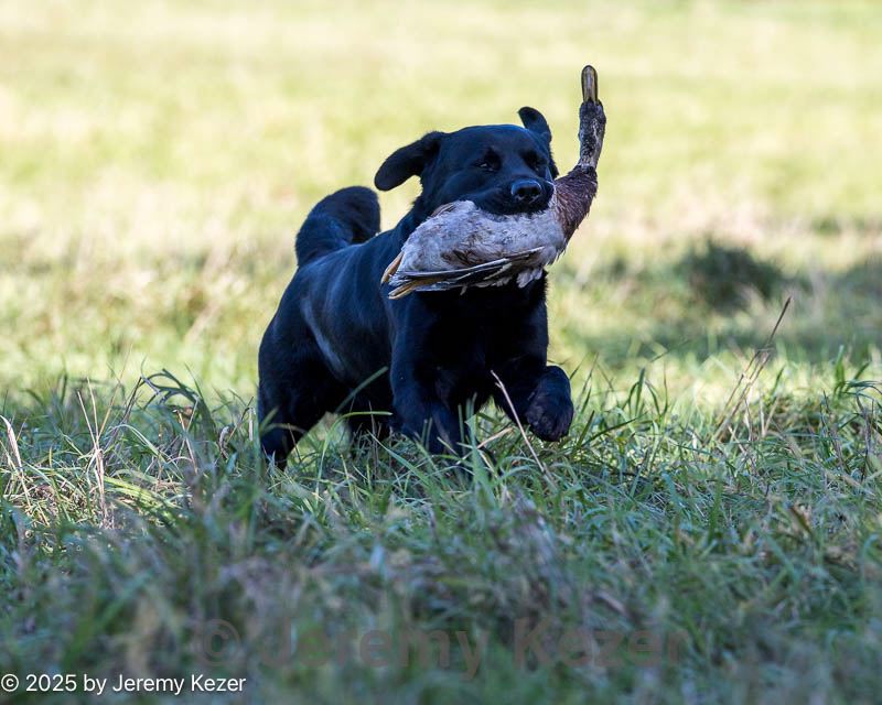 20251011-shl-0156.jpg