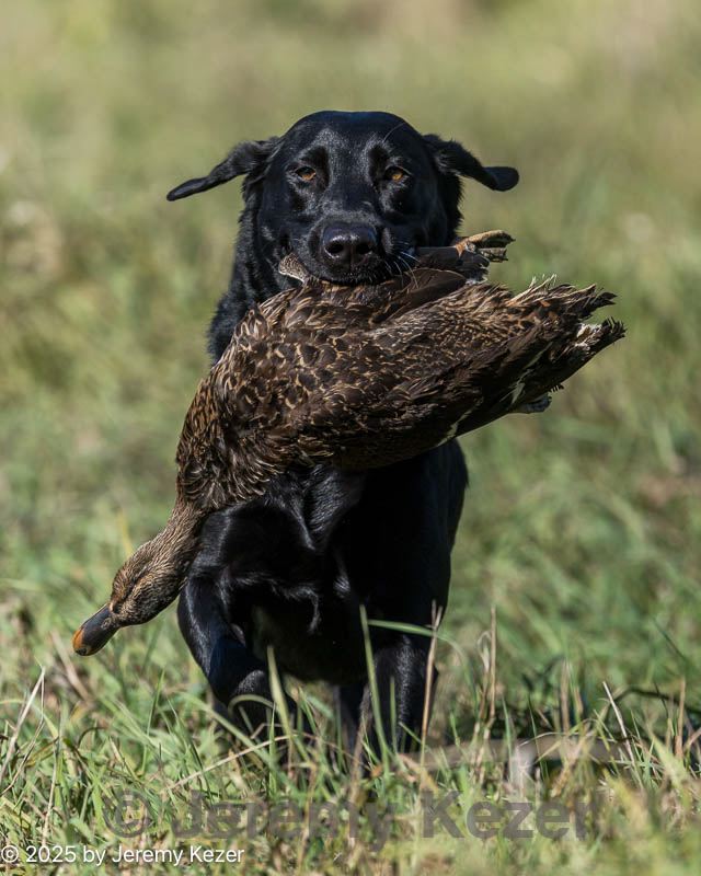 20251011-shl-0190.jpg