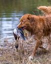20251012-jhw-0219