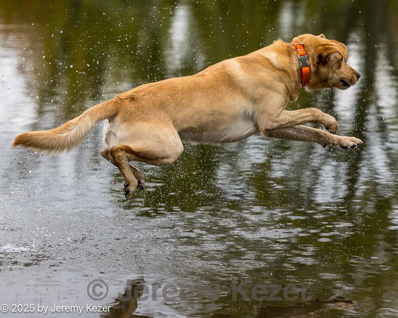 20251012-jhw-0056.jpg