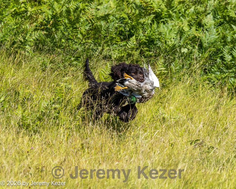 20260725-jhl-0167.jpg