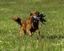 20260726-shl-0042