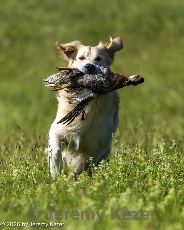 20260726-shl-0073.jpg